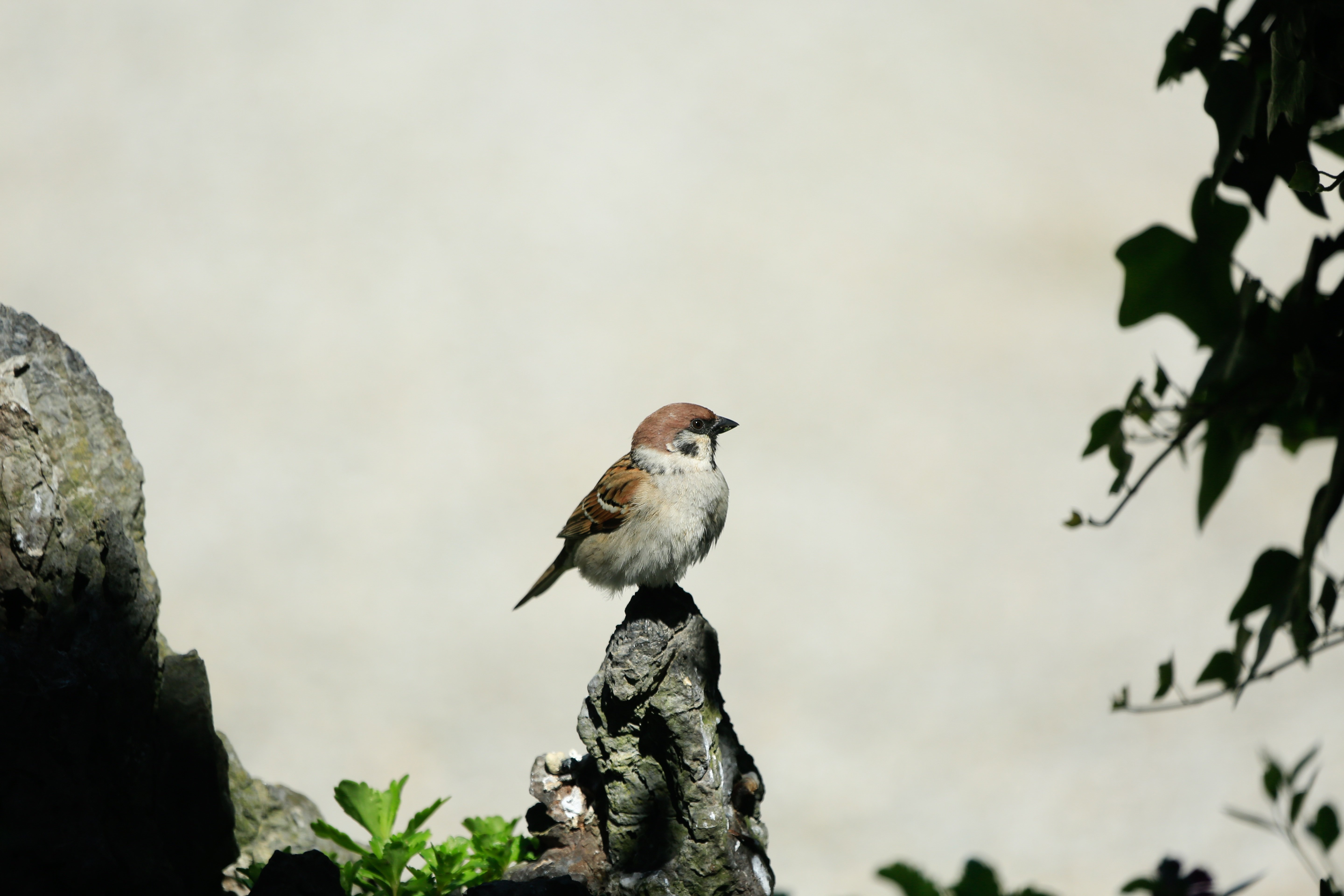 Exploration au Cœur de la Nature